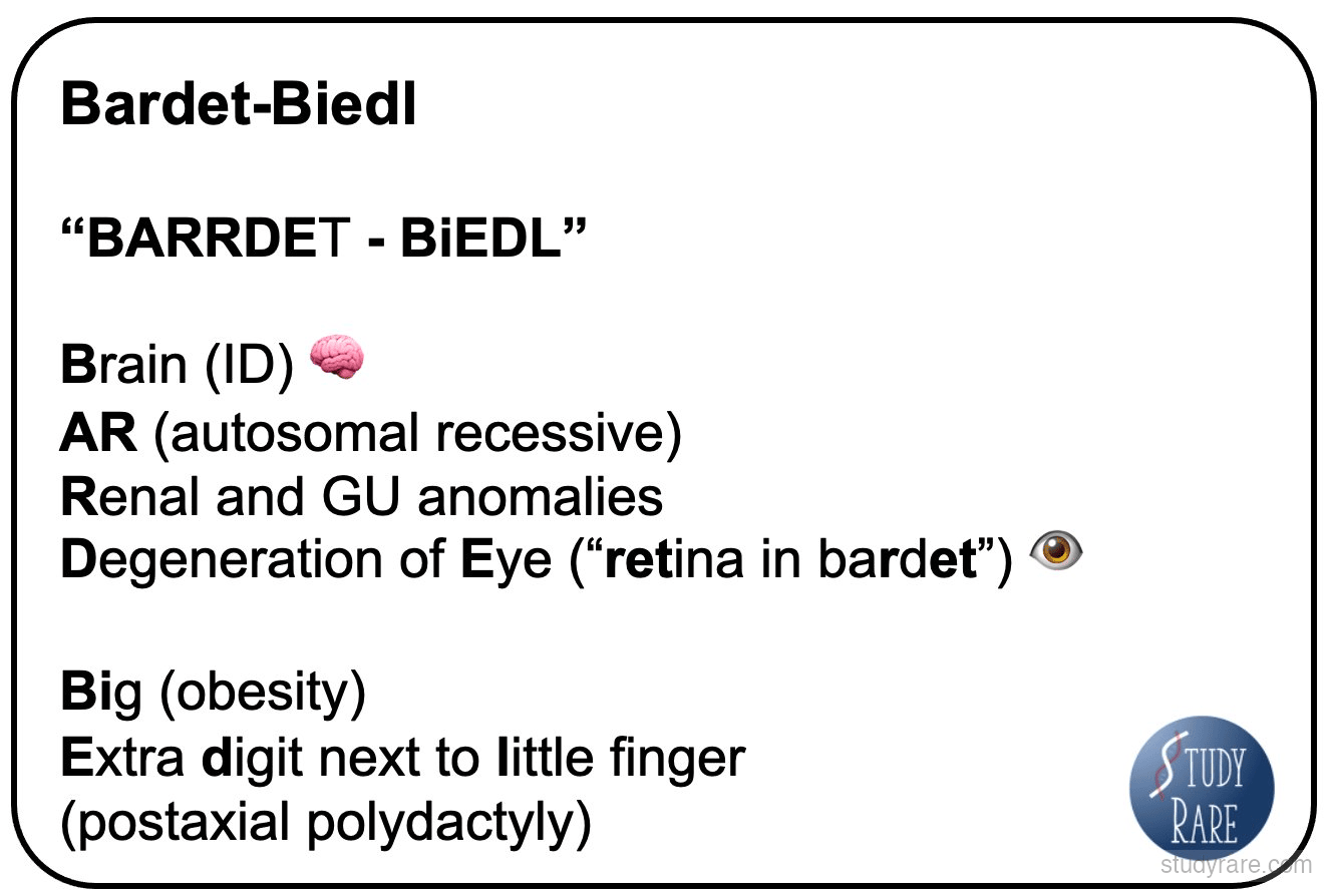 Bardet-Biedl syndrome mnemonic: "BARRDET-BiEDL" for Brain (ID), AR, Renal/GU, Degeneration of Eye, Big (obesity), Extra digit next to little finger