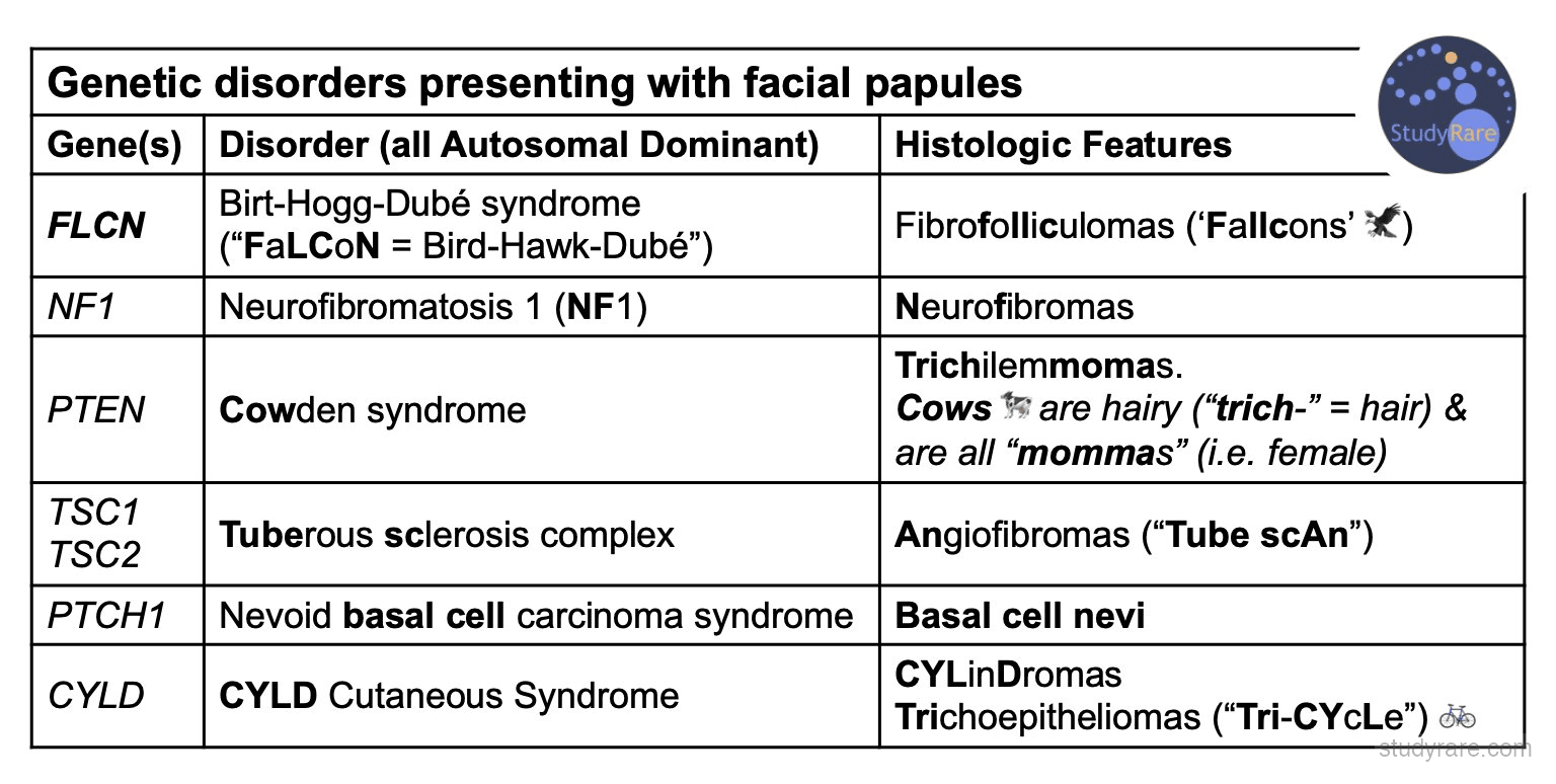 Genetic disorders with facial papules: FLCN (BHD/fibrofolliculomas), NF1 (neurofibromas), PTEN (Cowden/trichilemmomas), TSC1/TSC2 (angiofibromas), PTCH1 (basal cell nevi), CYLD (trichoepitheliomas)