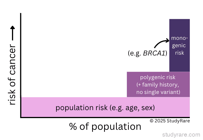 Cancer risk spectrum