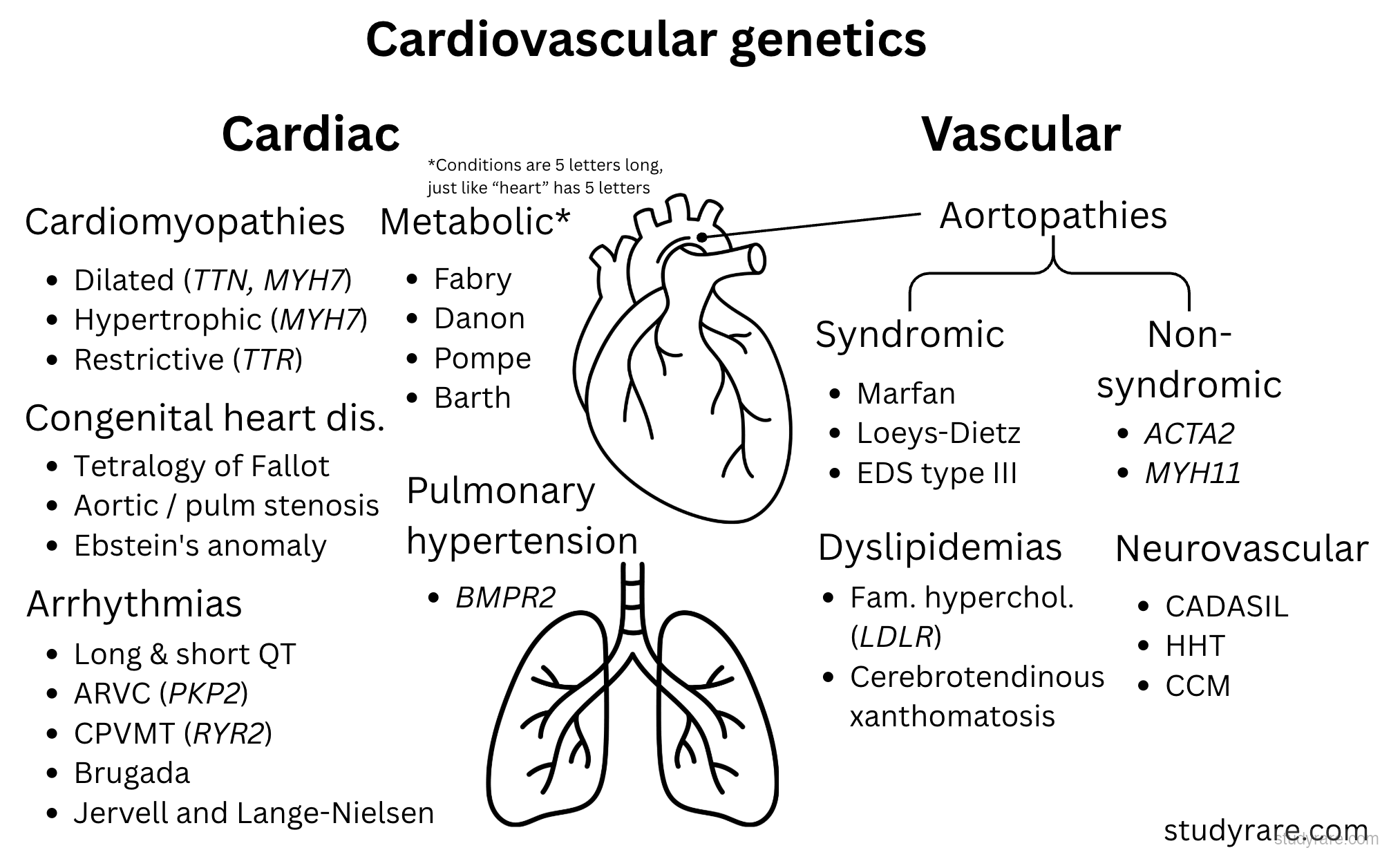Cardiovascular genetics overview