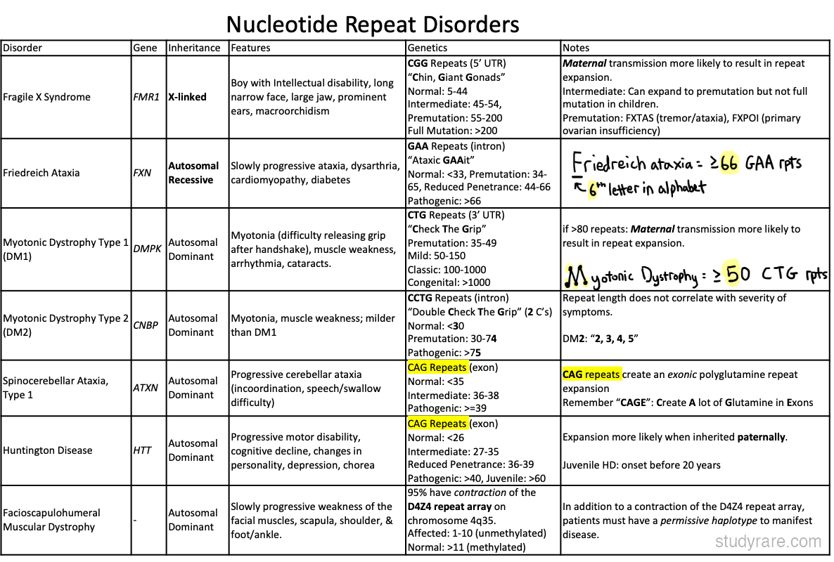 Nucleotide repeat disorders: Fragile X (CGG), Friedreich ataxia (GAA), myotonic dystrophy types 1 and 2 (CTG/CCTG), Huntington disease (CAG), and spinocerebellar ataxias