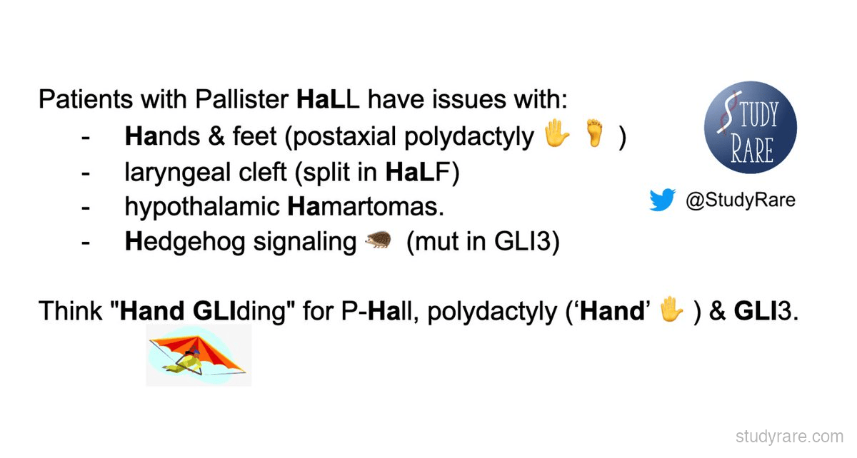 Pallister-Hall syndrome mnemonic: "Hand GLIding". Hands and feet (central/insertional polydactyly), laryngeal cleft, hypothalamic hamartomas, and hedgehog signaling via GLI3