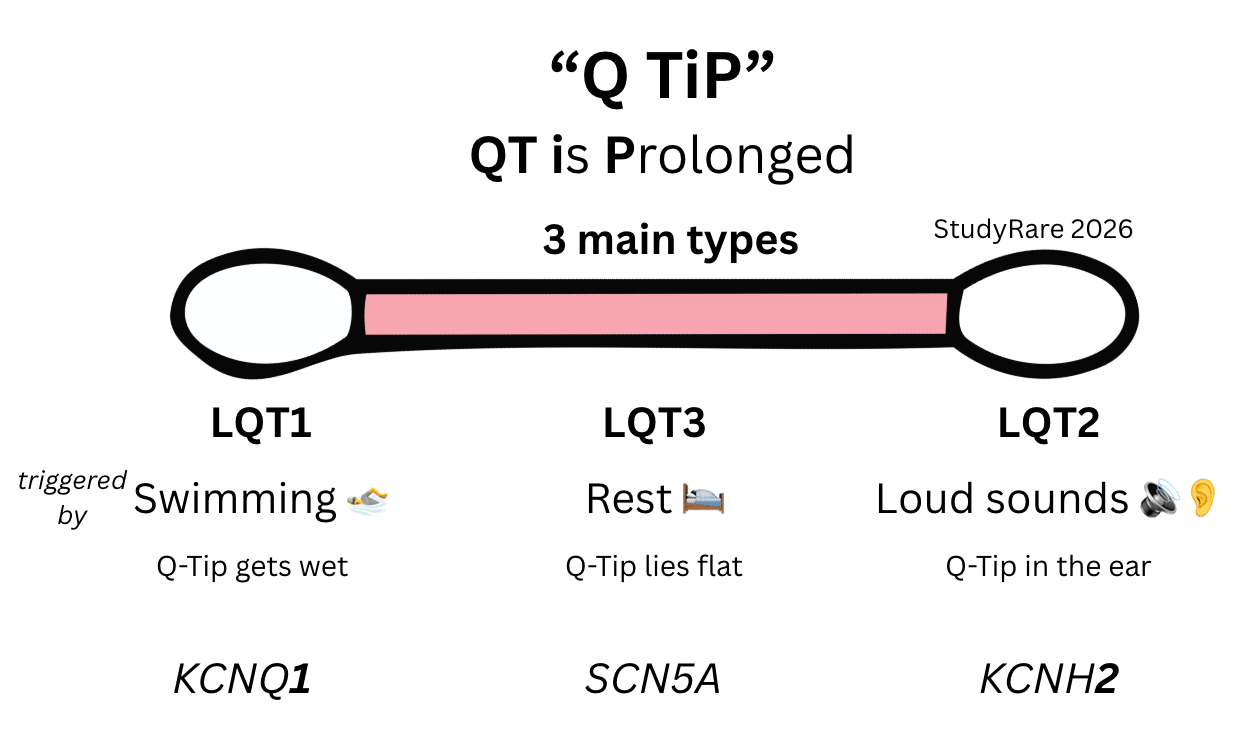 Long QT syndrome