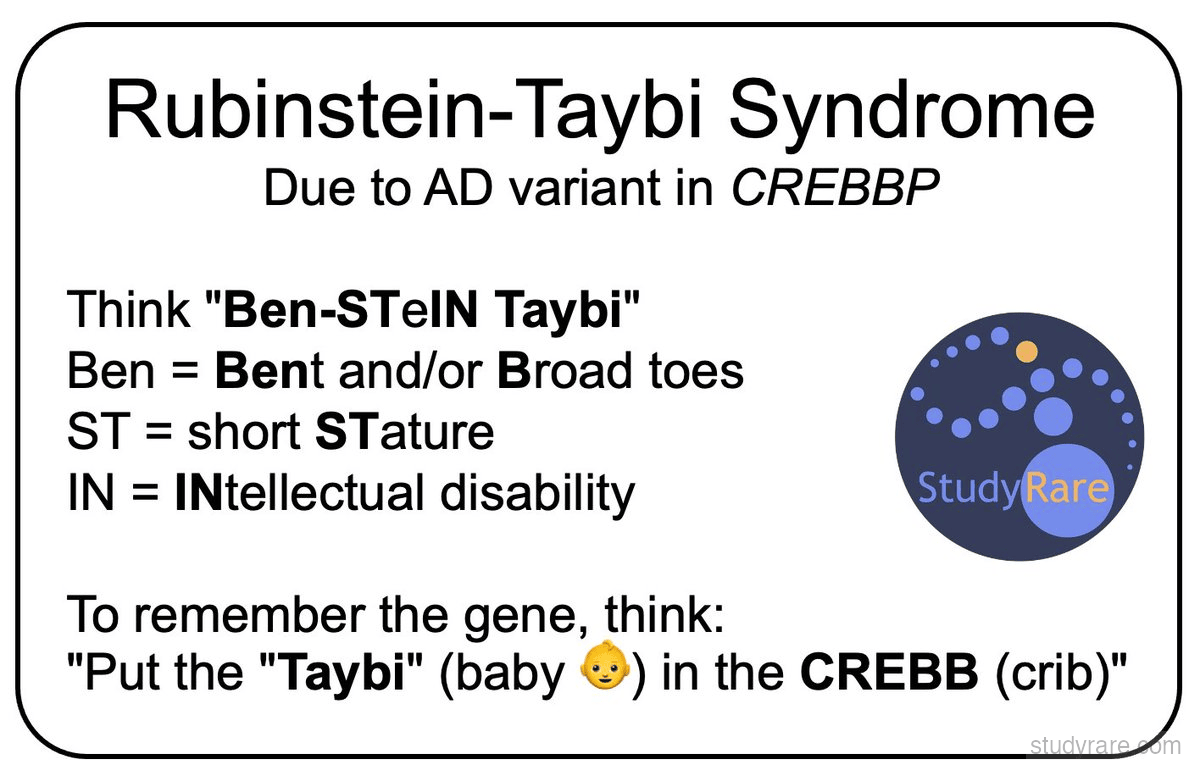 Rubinstein-Taybi syndrome mnemonic: "Ben-STeIN Taybi" with Bent/Broad toes, Short Stature, INtellectual disability, caused by CREBBP variant