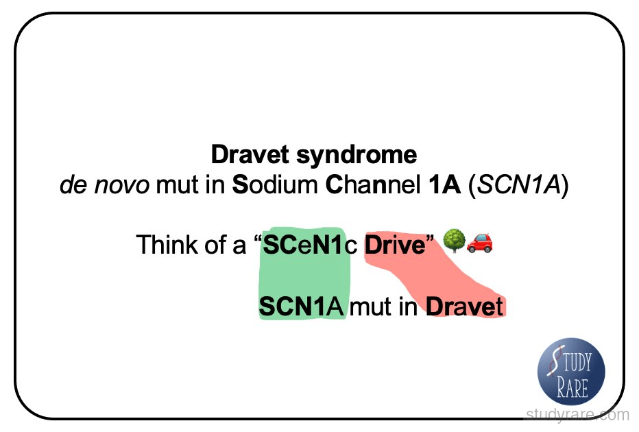 SCN1A/Dravet syndrome mnemonic: "SCeN1c Drive" represents a de novo mutation in Sodium Channel 1A (SCN1A)