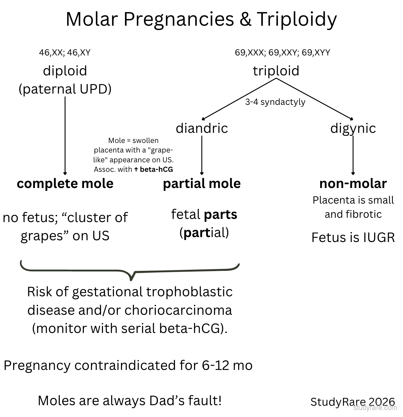 Triploidy