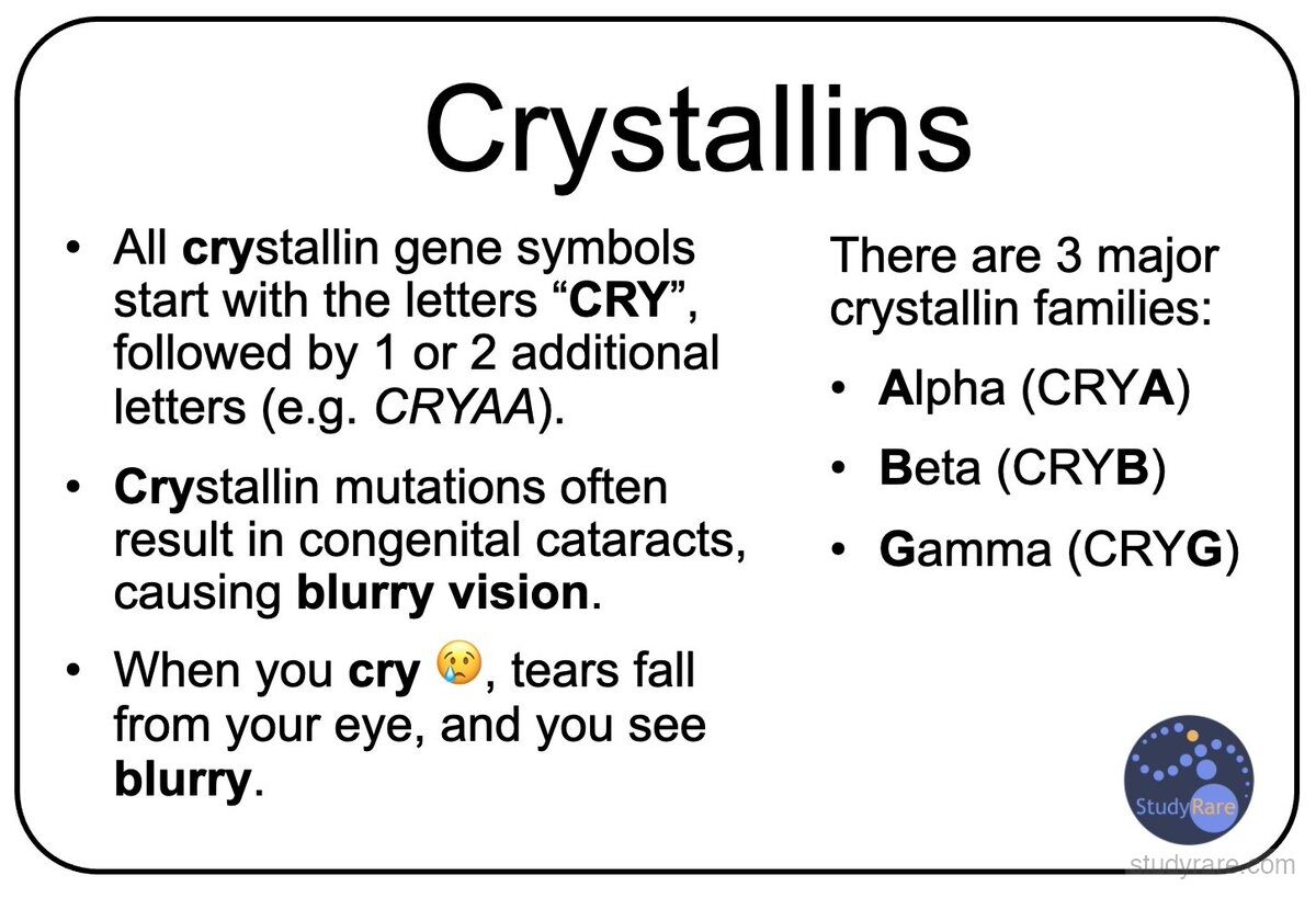 Crystallins overview: three major families (alpha/CRYA, beta/CRYB, gamma/CRYG), all gene symbols start with CRY, mutations cause blurry vision from congenital cataracts