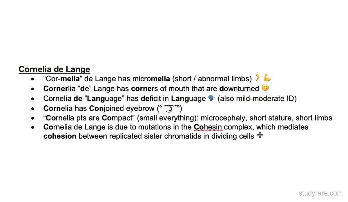 Cornelia de Lange syndrome mnemonic summary: micromelia, downturned corners of mouth, language deficit, conjoined eyebrows, compact body habitus, and cohesin complex gene mutations