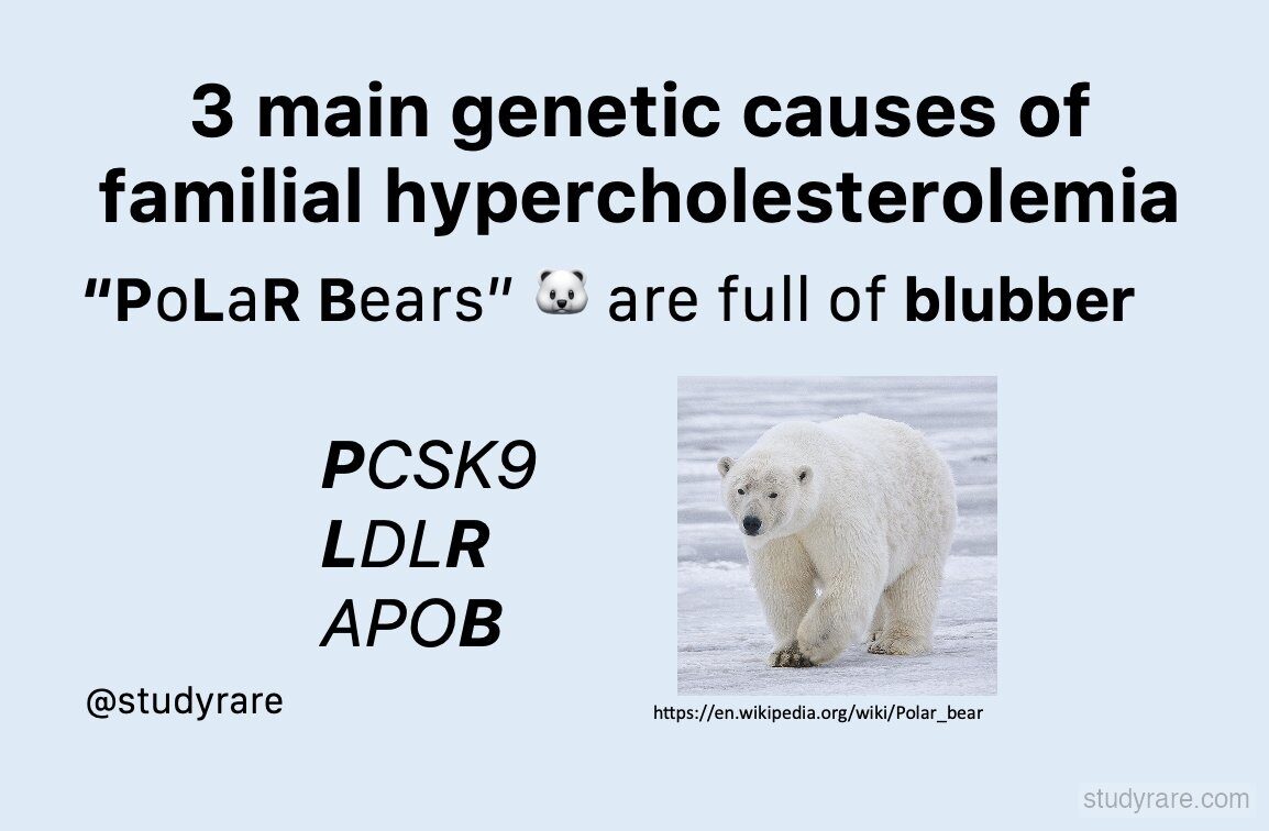 Familial hypercholesterolemia genes mnemonic: "PoLaR Bears are full of blubber" for PCSK9, LDLR, and APOB