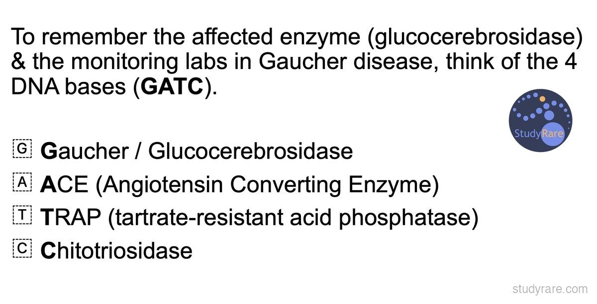 Gaucher disease GATC mnemonic: G = Gaucher/Glucocerebrosidase, A = ACE (Angiotensin Converting Enzyme), T = TRAP (tartrate-resistant acid phosphatase), C = Chitotriosidase. The four monitoring labs
