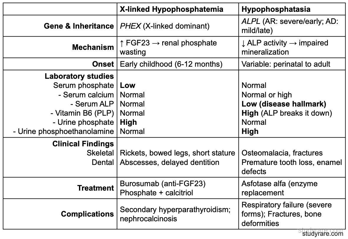 X-linked hypophosphatemia vs hypophosphatasia comparison: genes (PHEX vs ALPL), mechanism, lab findings (phosphate, calcium, ALP, PLP, urine phosphoethanolamine), clinical features, and treatment