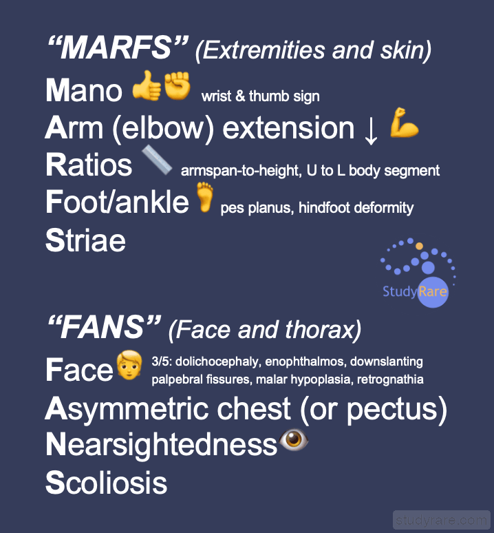 Marfan syndrome physical exam framework: "MARFS" for extremities/skin (wrist/thumb sign, arm extension, arm span-to-height ratio, foot/ankle deformity, striae) and "FANS" for face/thorax (dolichocephaly, asymmetric chest, nearsightedness, scoliosis)