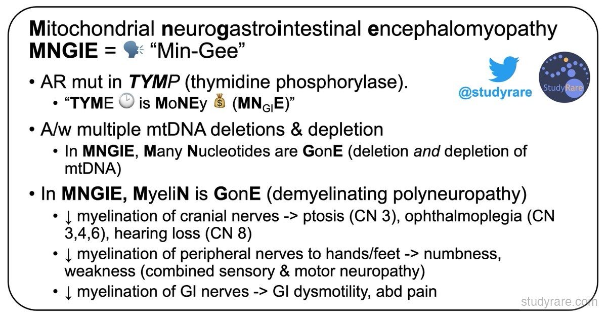 MNGIE comprehensive mnemonic: AR mutation in TYMP, "TYME is MoNEy" for gene, mtDNA deletions and depletion, demyelinating polyneuropathy affecting CN 3/4/6/8, peripheral nerves, and GI nerves