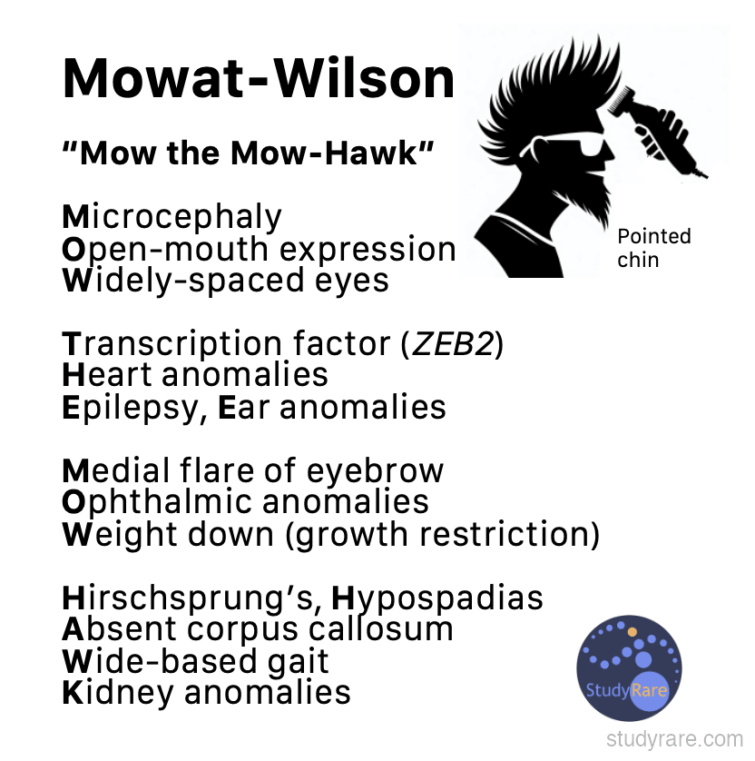 Mowat-Wilson "Mow-Hawk" mnemonic