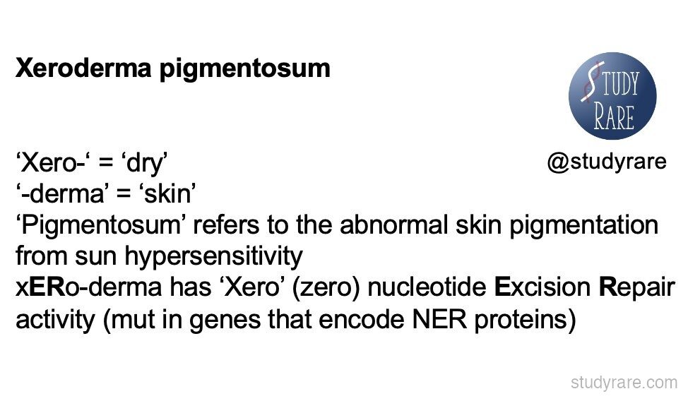 Xeroderma pigmentosum overview: Xero = dry, derma = skin, pigmentosum = abnormal pigmentation from sun hypersensitivity; xERo-derma has zero nucleotide Excision Repair activity due to mutations in NER genes